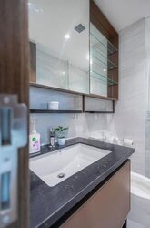 Normanton Park (D5), Apartment #455833661